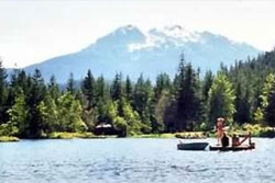 pet friendly vacation rental in whistler canada, vacation rentals with dogs allowed in whistler canada